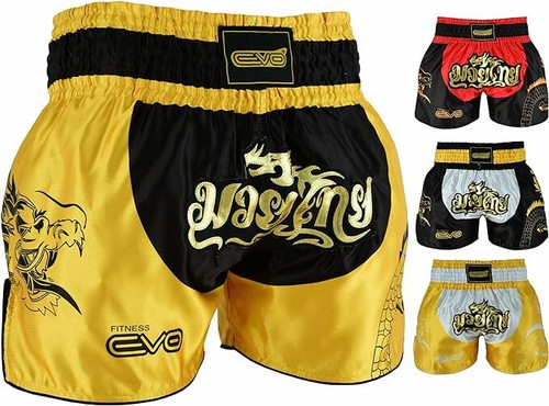 Evo mma muay thai - evo,
