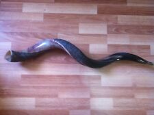 Shofar Kudu Yemenite Horn