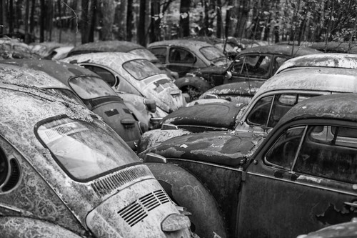 Volkswagen beatles salvage - volkswagen,