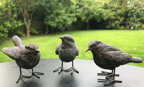 Set wrens garden birds - set,