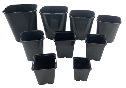 Square plant pots rigid 7cm - plant,