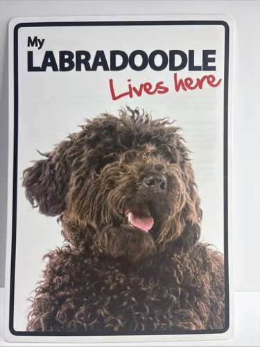 Dog sign labradoodle lives - dog, my