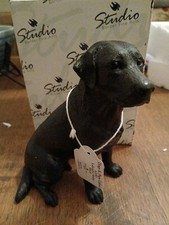 Border Fine Arts Studiodogz