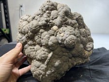 43lb Oregon Canyon Rim Thunder