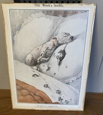 Vintage Bonzo Dog By G E Studdy Print On Card The End Of A Perfect Day