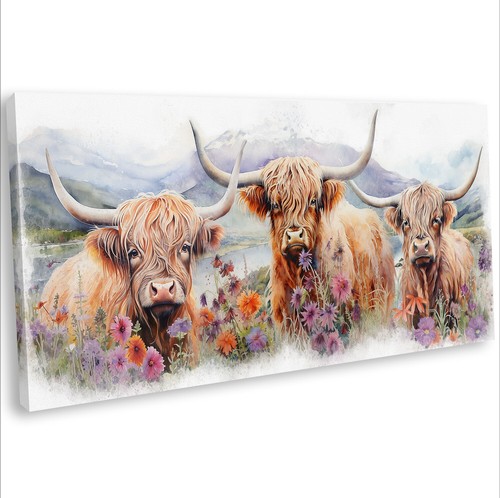 Highland cows the meadow - highland, in