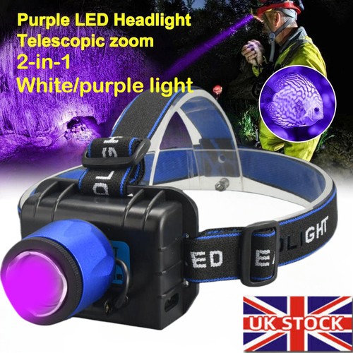 White light dual use led - dual-use,