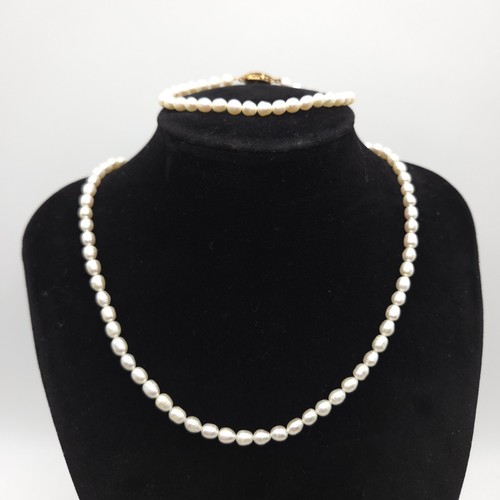 Freshwater pearl necklace - necklace, &