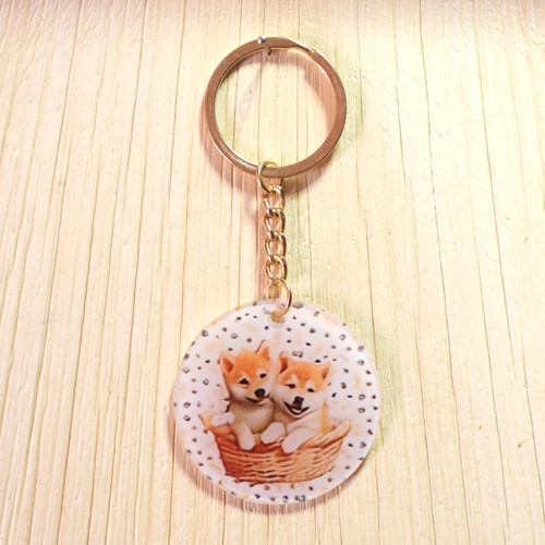 Chow puppies keyring 2d - chow,