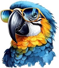 Blue gold macaw parrot bird - gold,