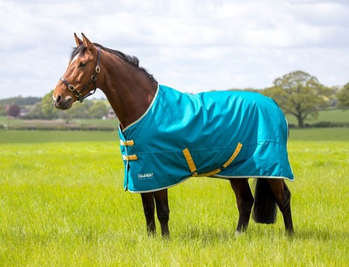 Shires tempest original 50g - tempest,