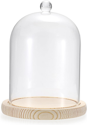 Sumnacon glass display cloche - sumnacon,