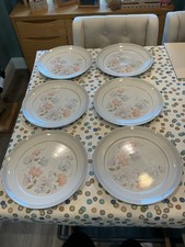 Denby Dauphine Dinner Plates