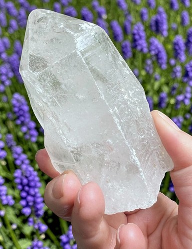 Large natural lemurian - natural, seed