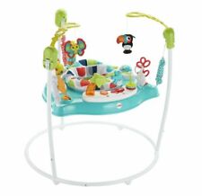 Fisher-Price Color Climbers Jumperoo Bouncer 