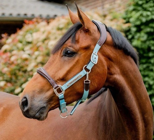Horseware signature - horseware,