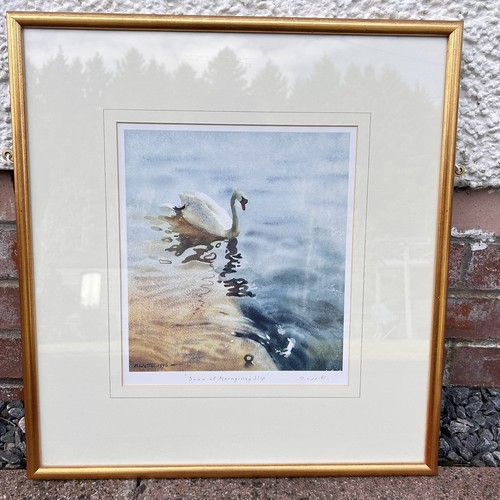 Vtg david weston swan - david,