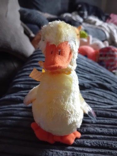 Beanie babies duck the - duck-e,
