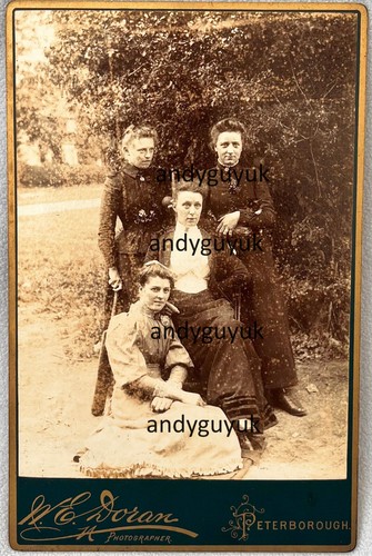 Cabinet card rare - cabinet, lady