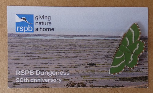 Rspb pin badge the rare - badge,