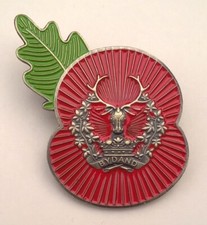 Gordon Highlanders 🌺Flower Of Remembrance 3D ( GH-AB ) P26