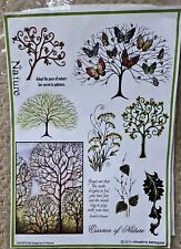 Elusive Images (Chocolate