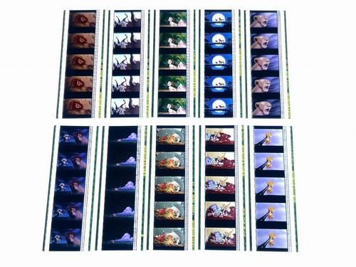 The lion king 35mm - lion, film