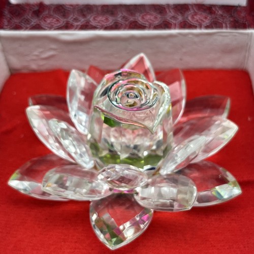Crystal world water lily - water,