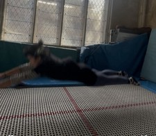 Full Club Size Trampoline 33/99 Eurotramp with Safety Enclosure