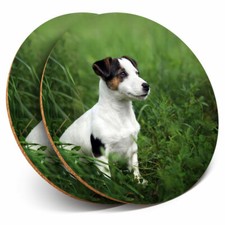 2 x Coasters - Jack Russell Terrier Dog Puppy Home Gift #16927