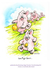 LIMITED EDITION PIGGIN