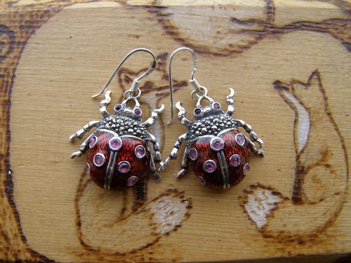 Silver earrings enamel - earrings,
