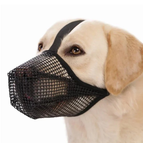 Dog soft breathable - dog,