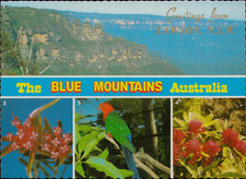 Blue Mountains Lawson Multi