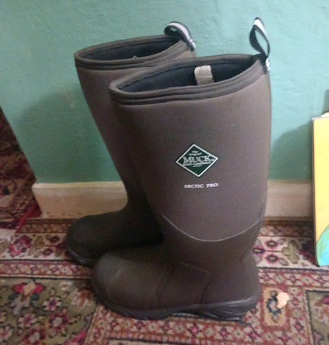 Wellingtons muck boots - ,