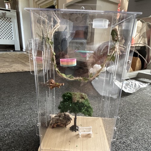 Clear acrylic spider vivarium - acrylic,