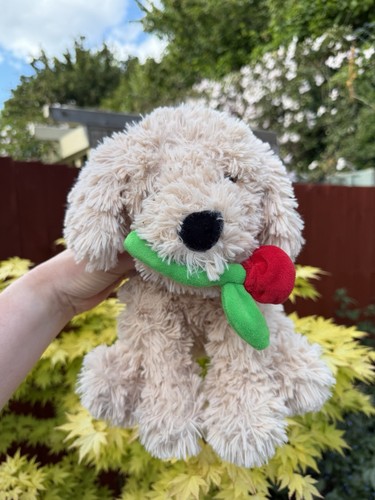 Tesco curtis the cockerpoo - tesco,