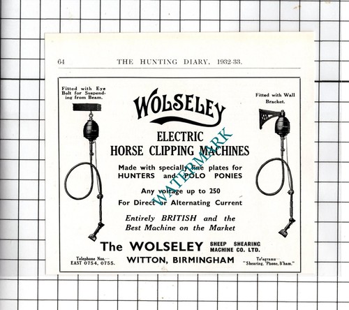 The wolseley sheep shearing - the,