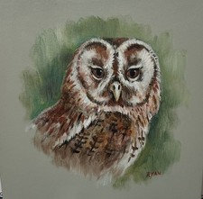 Owl On Watch Canvas Painting