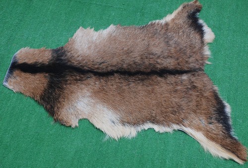 Luxury goat hide - goat,