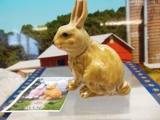 Rare wade rabbit - rare.wade.",