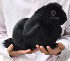 Hansa Holland Lop Realistic