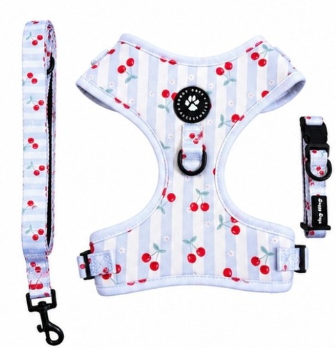 Dog harness collar and lead - harness,,