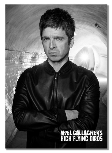 Noel gallagher british - noel, #14