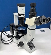 Olympus Microscope CKX41SF with U-RFLT50 and U-LH50HG Mercury Lamphouse
