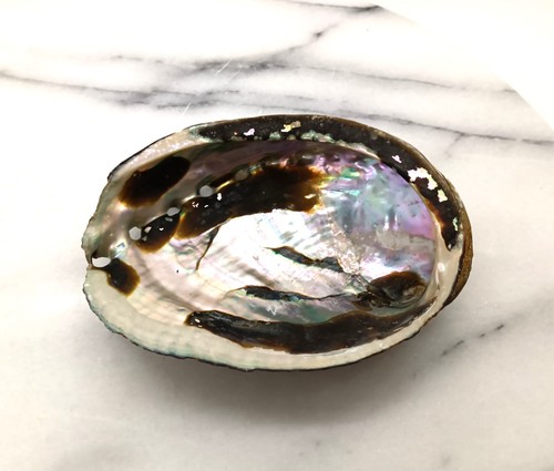 Natural abalone mother - natural,