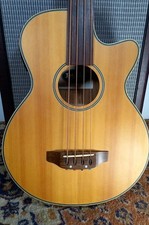 Indie Fretless Electro-Acoustic 4 String Bass Guitar w/case