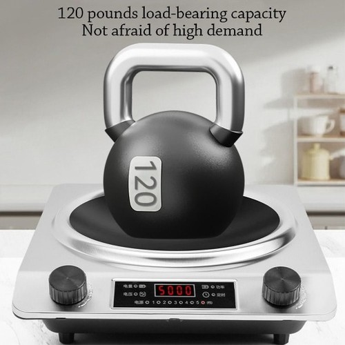 Commercial electric induction - electric,