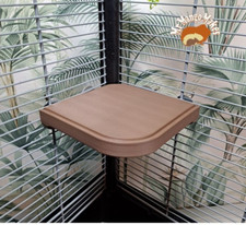 Rat, Hamster, Mouse, Bird