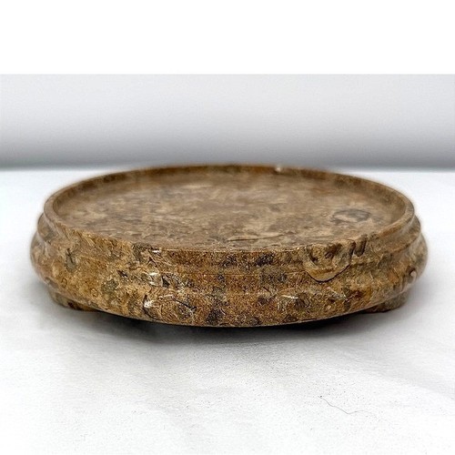 Round fossil stone pedestal - fossil,